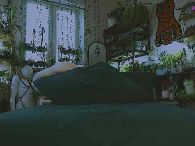 DeadButterfly