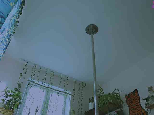 InkButtercup webcam