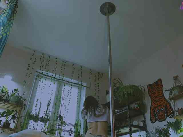 InkButtercup webcam