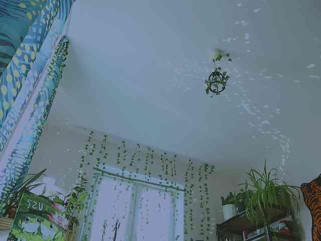 InkButtercup webcam
