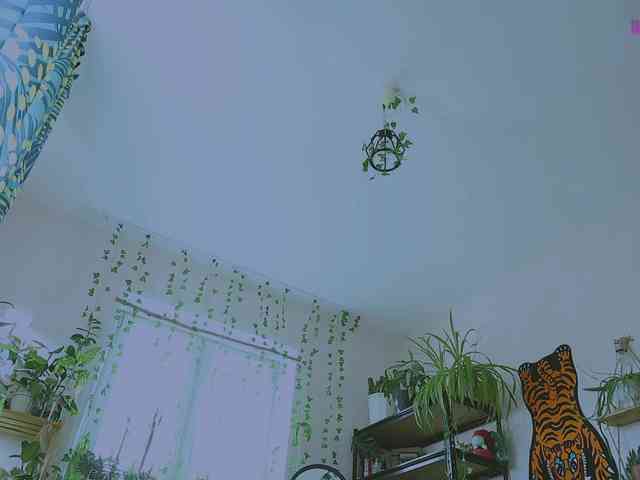 InkButtercup webcam