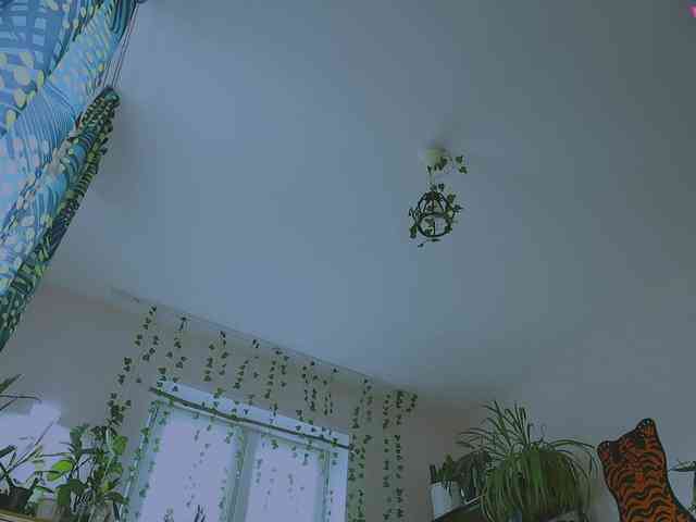 InkButtercup webcam