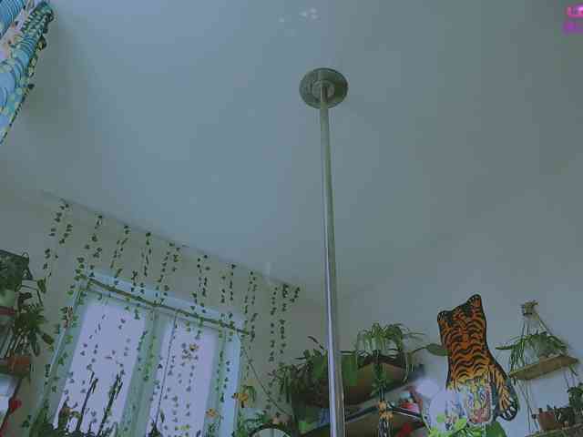 InkButtercup webcam