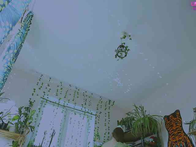 InkButtercup webcam
