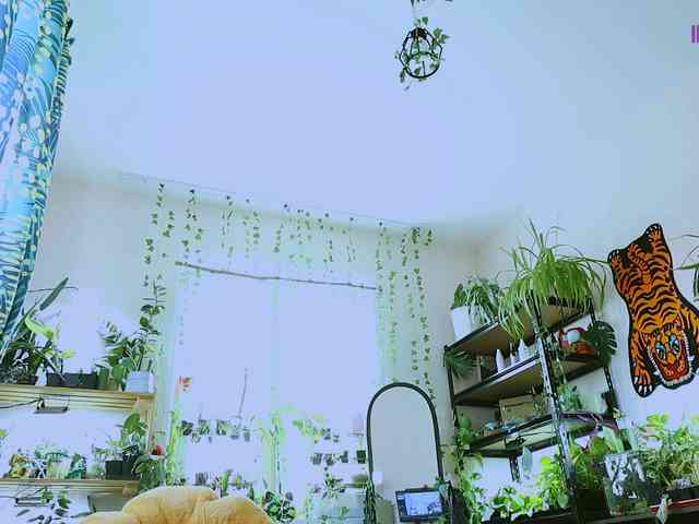 InkButtercup webcam