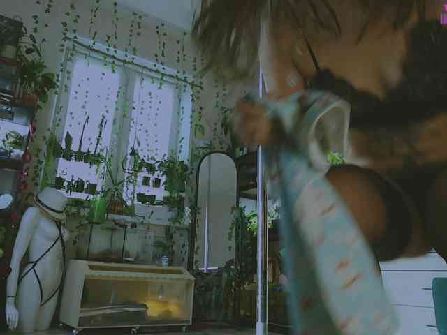 DeadButterfly