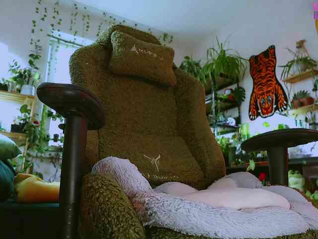 InkButtercup webcam
