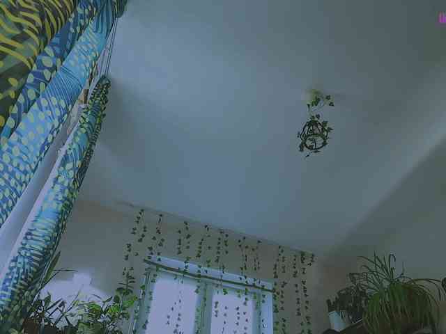 InkButtercup webcam