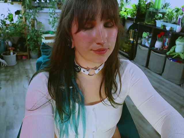 InkButtercup webcam