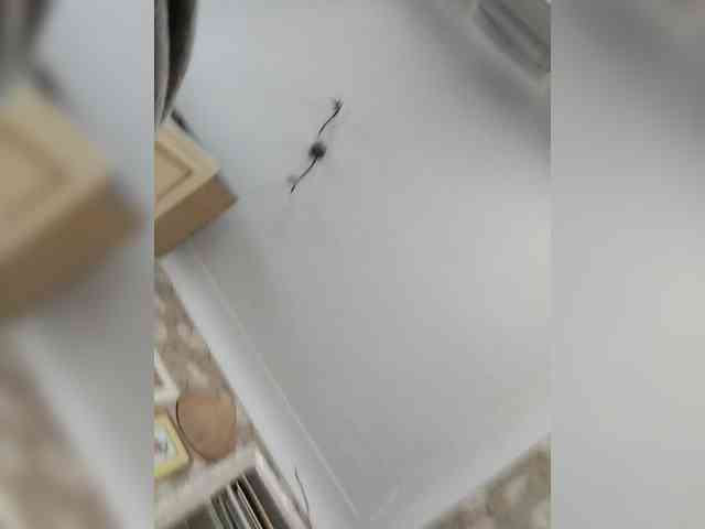 Funny331 webcam