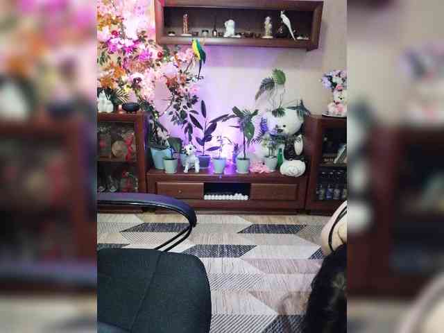 JuliaHesperaks webcam