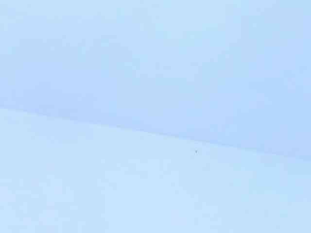 MariannaCortez webcam
