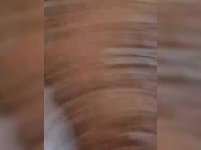 go to chat with SweetSugar77