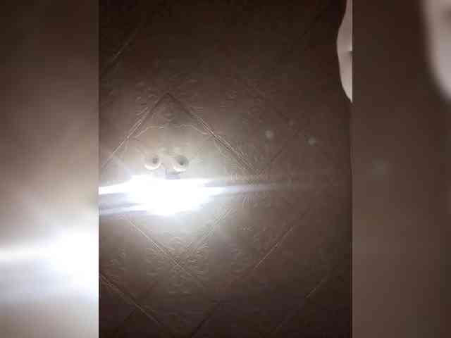 SweetSugar77 webcam