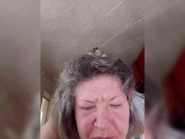 SweetSugar77