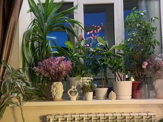 WednesdayFridayAddams