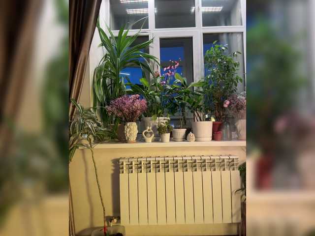 CutieDollBC's BongaCams show and profile