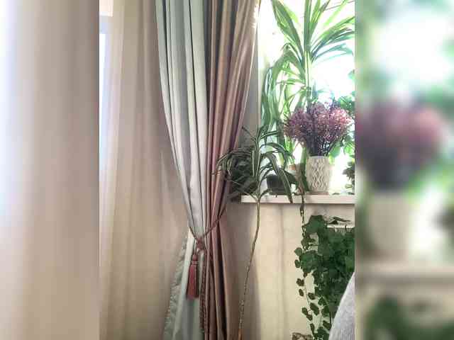 WednesdayFridayAddams webcam