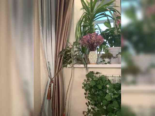 WednesdayFridayAddams webcam