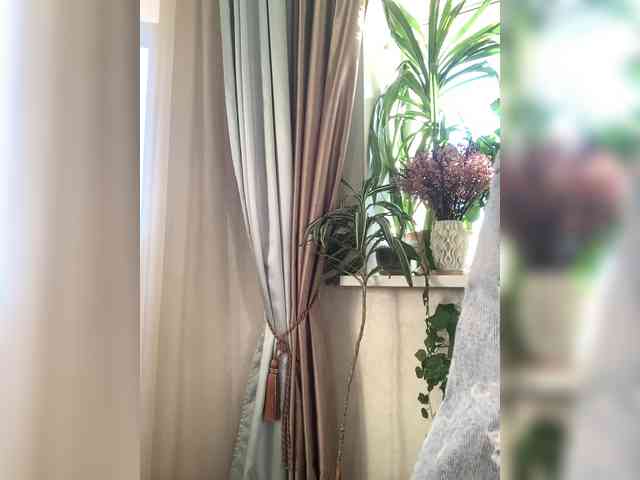 WednesdayFridayAddams webcam