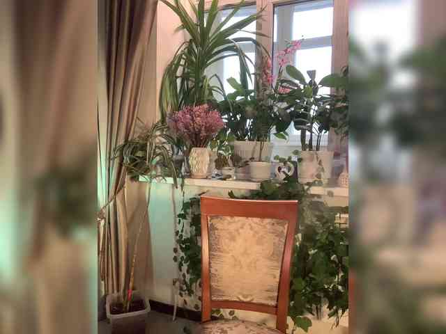 WednesdayFridayAddams webcam