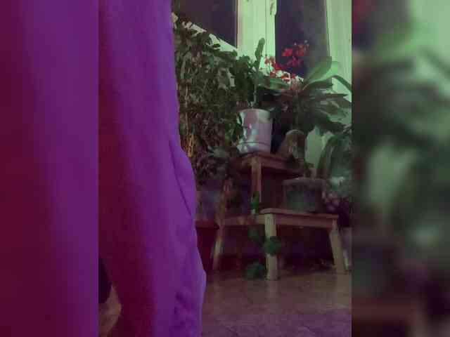 WednesdayFridayAddams webcam