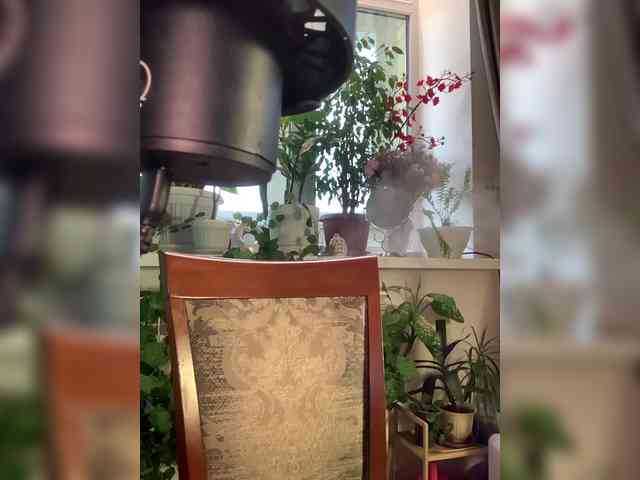 WednesdayFridayAddams webcam