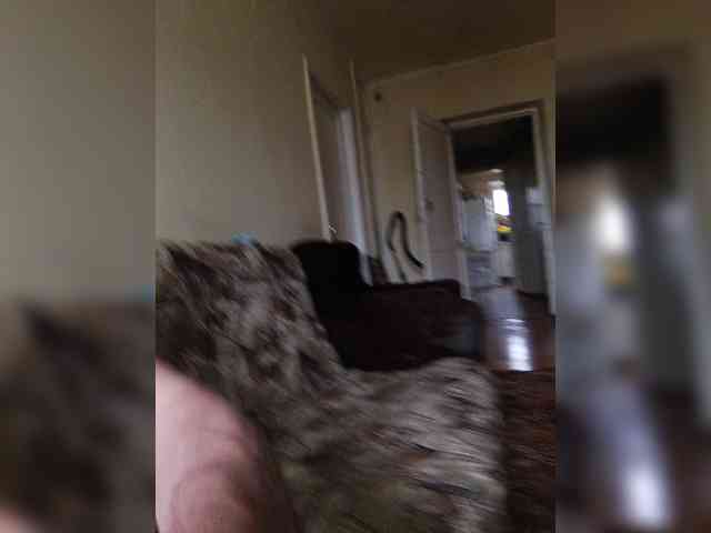 Lyda27081 webcam