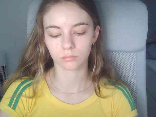 AriaModel webcam