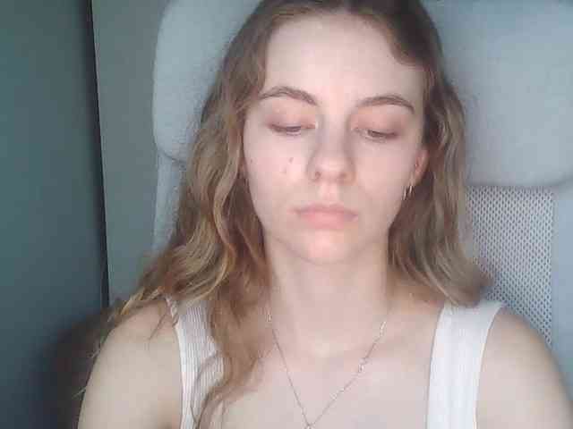 AriaModel webcam