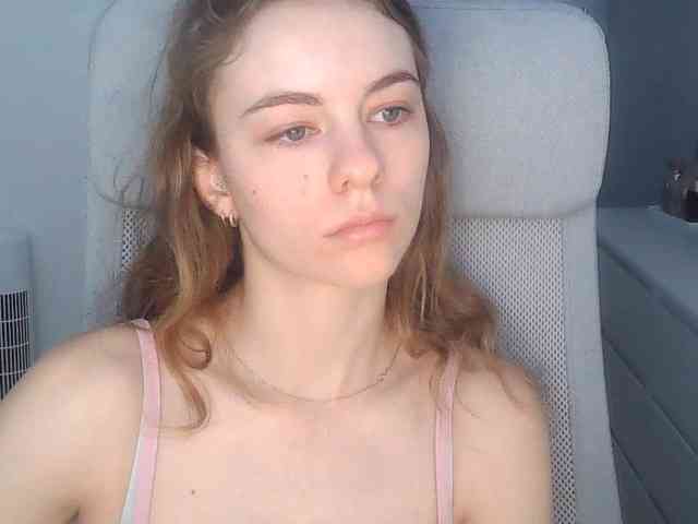 AriaModel webcam
