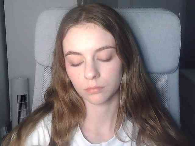 AriaModel webcam