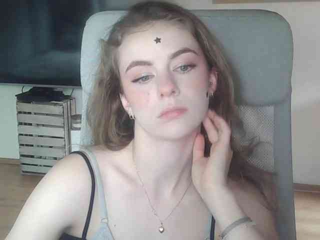AriaModel webcam