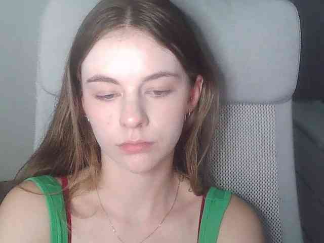 AriaModel webcam