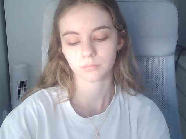 AriaModel webcam