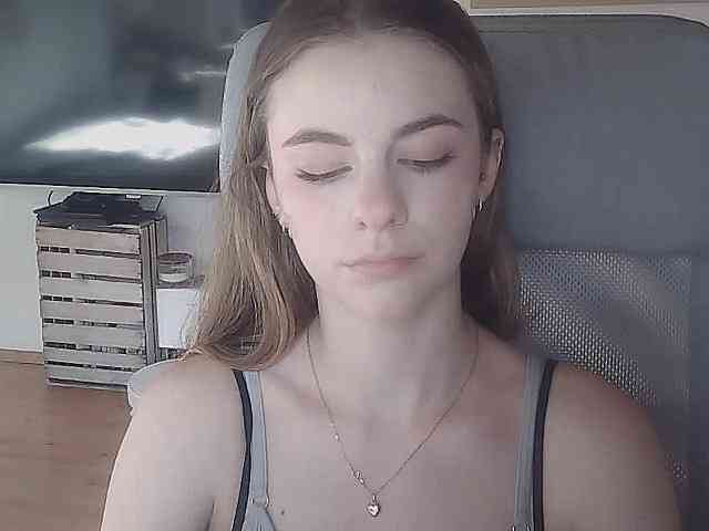 AriaModel webcam