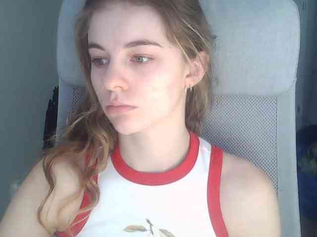 AriaModel webcam