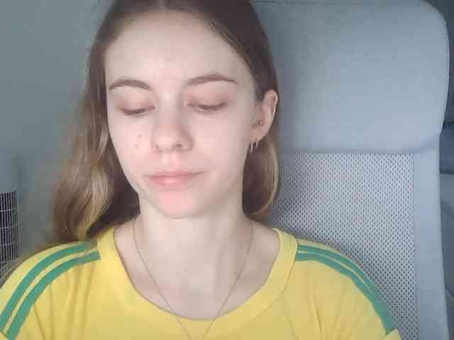 AriaModel webcam