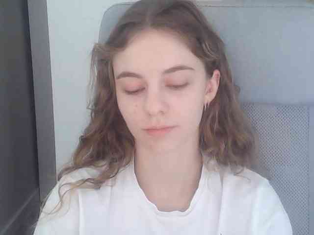 AriaModel webcam