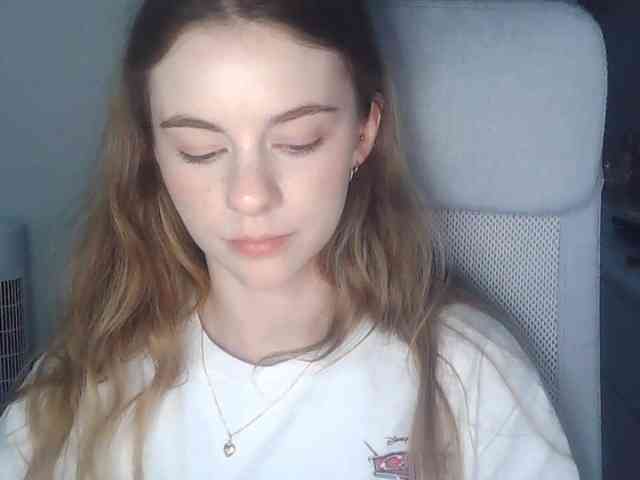 AriaModel webcam