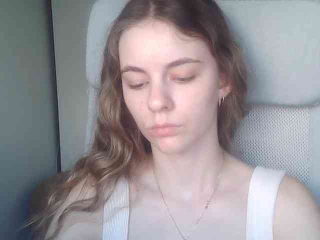 AriaModel webcam