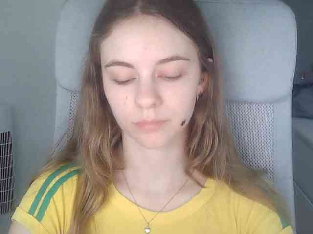 AriaModel webcam