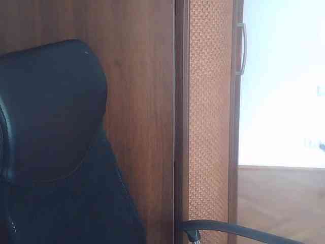 AriaModel webcam
