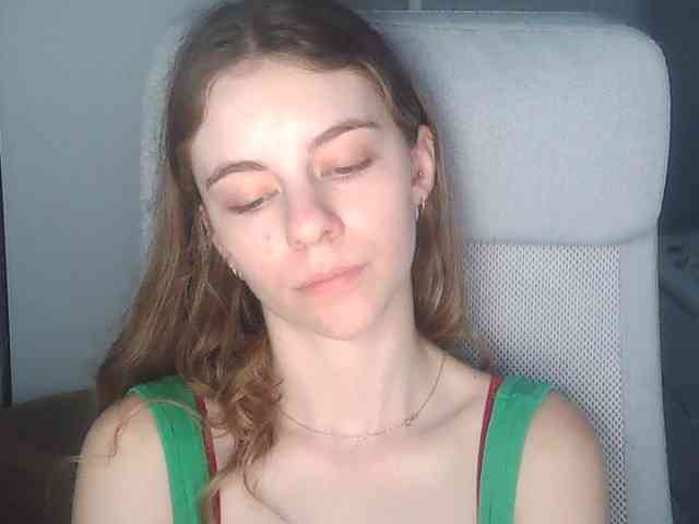 AriaModel webcam