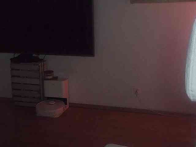 AriaModel webcam