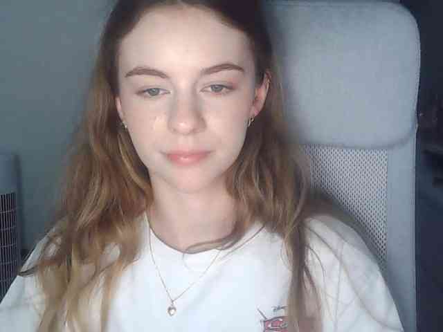AriaModel webcam