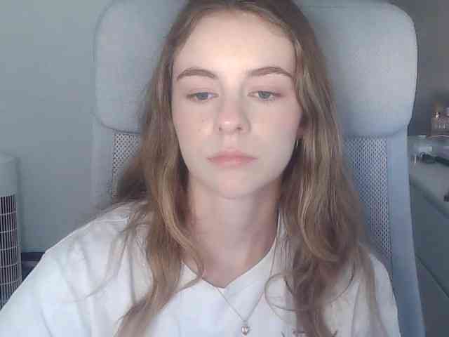 AriaModel webcam