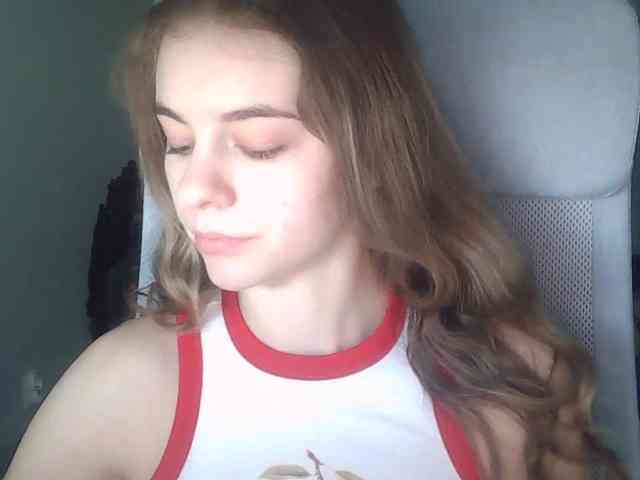 AriaModel webcam