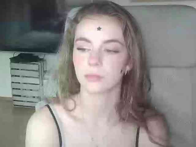 AriaModel webcam