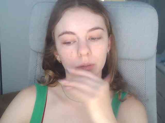 AriaModel webcam